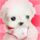 熊猫tv